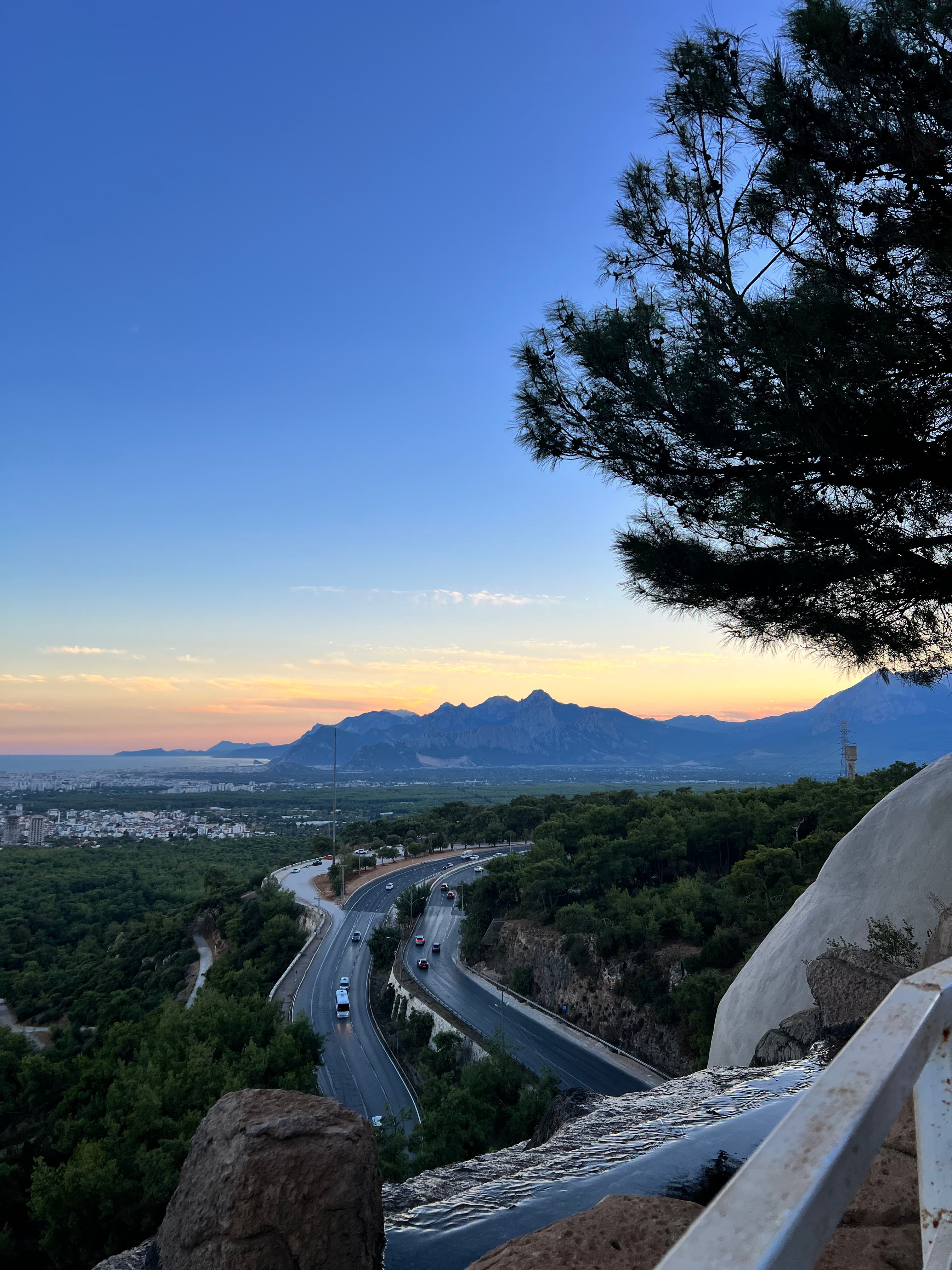 Bodurlar - Kent Ormanı